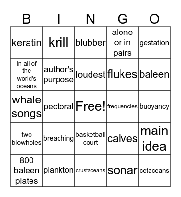 Blue Whales:  Giant Mammals Bingo Card
