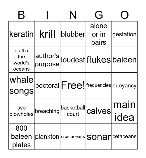 Blue Whales: Giant Mammals Bingo Card