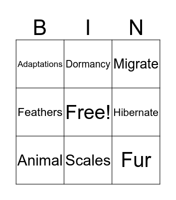 Animal adaptations Bingo Card