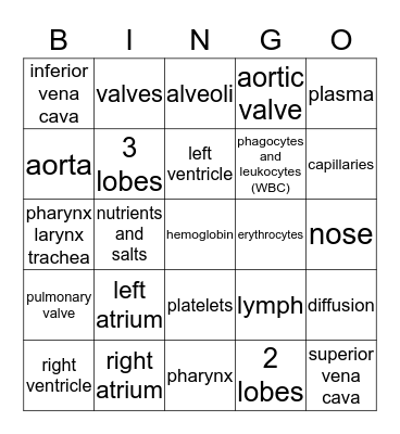 BIOLOGY CIRC /RESP/ LYMPH Bingo Card