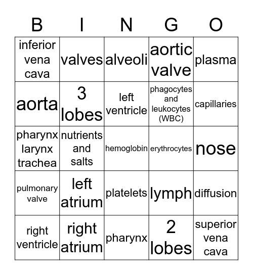BIOLOGY CIRC /RESP/ LYMPH Bingo Card
