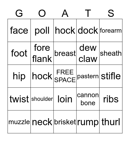 4-H Goat Bingo Card