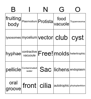 Protist and Fungi Bingo Card