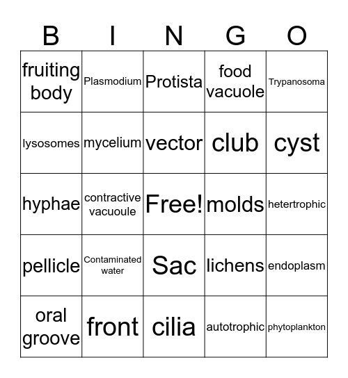 Protist and Fungi Bingo Card