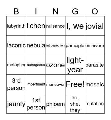 Unit 4 Vocabulary  Bingo Card