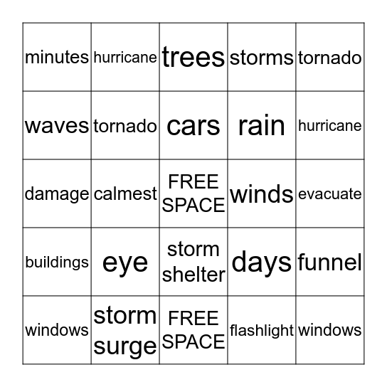 Hurricane and Tornado Bingo Card