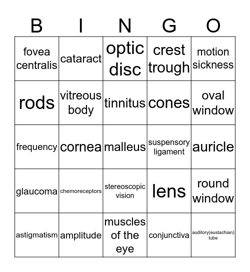 Special Senses Bingo Card