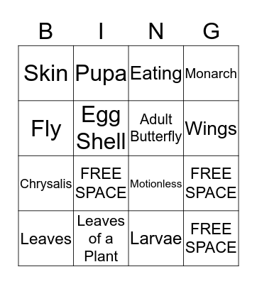 Butterfly Bingo Card