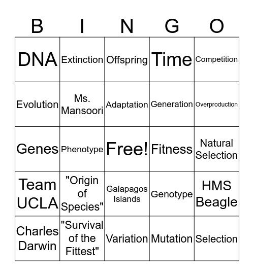 Evolution  Bingo Card