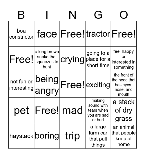 The Day Jimmy's Boa Ate the Wash Bingo Card