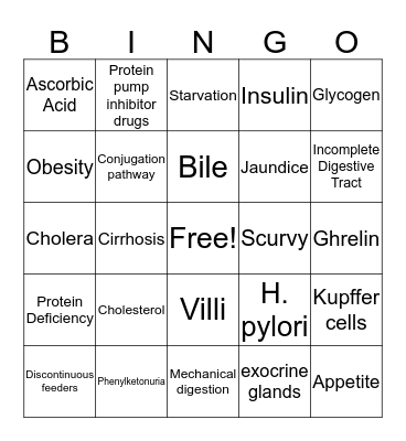 Digestive System Bingo Card