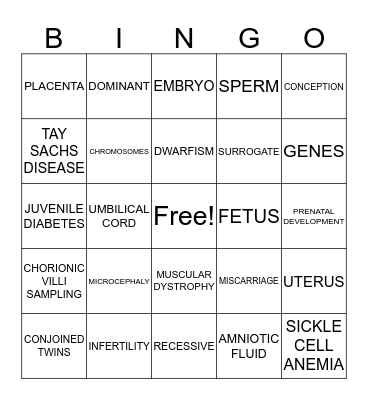 CH 5 PRENATAL DEVELOPMENT BINGO Card