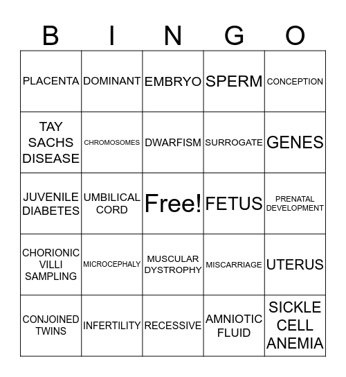 CH 5 PRENATAL DEVELOPMENT BINGO Card