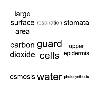 Photosynthesis Bingo Card