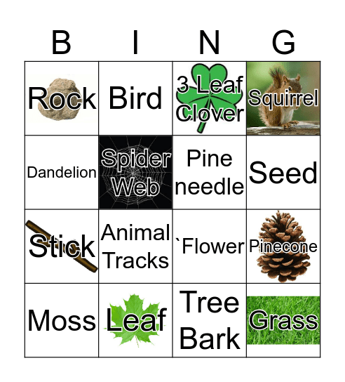 Camp Rocky's Bingo Card