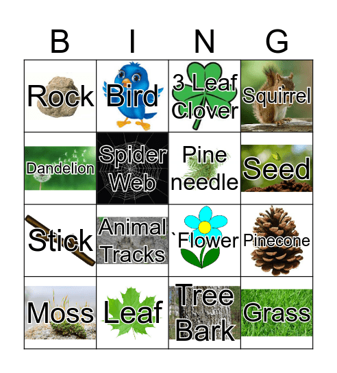 Camp Rocky's Bingo Card