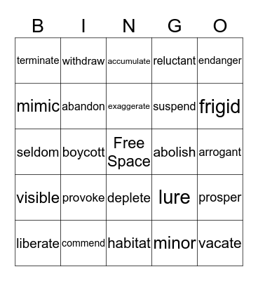 Vocabulary BINGO Card