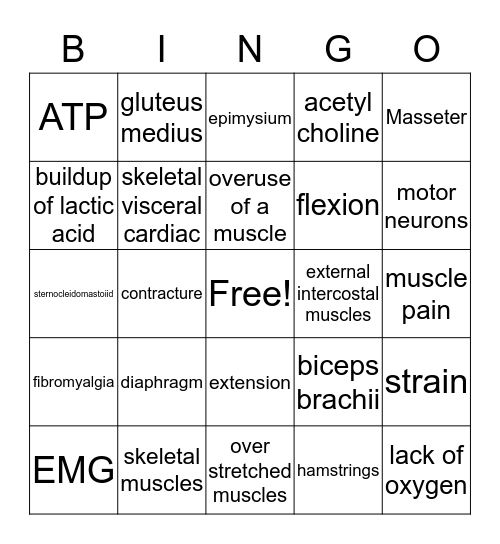 Muscular System Bingo Card