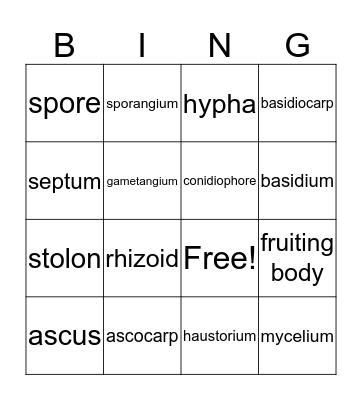 Fungi  Bingo Card