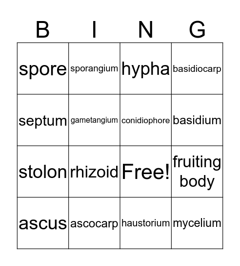 Fungi  Bingo Card