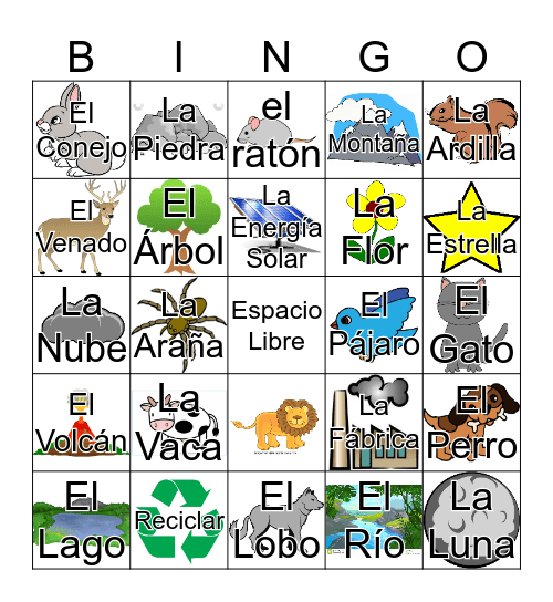 Bingo Español Bingo Card