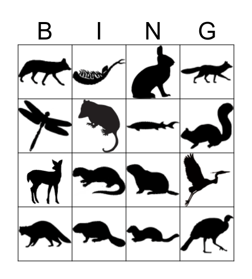 RVA Animals Bingo Card