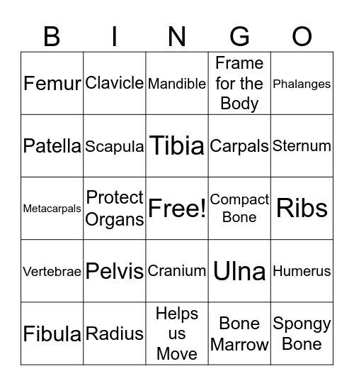 BONE Bingo Card