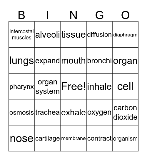 Levels of Organization and Respiratory System Bingo Card