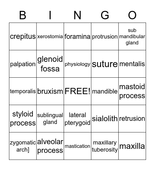 Anatomy and Cranial Nerves Bingo Card