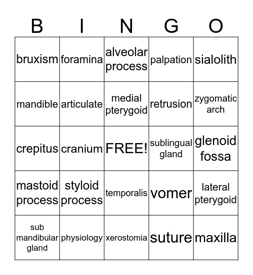 Anatomy and Cranial Nerves Bingo Card