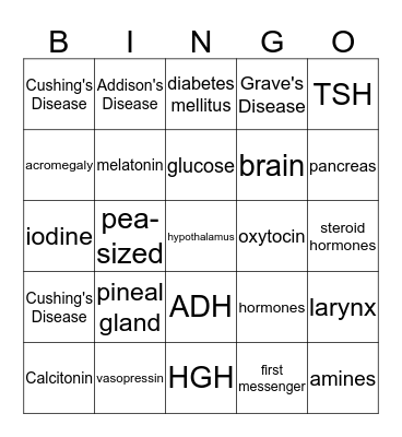 Endocrine System Bingo Card