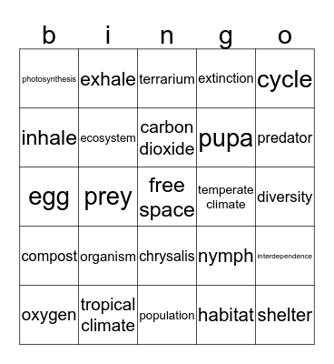 Science 4 Bingo Card