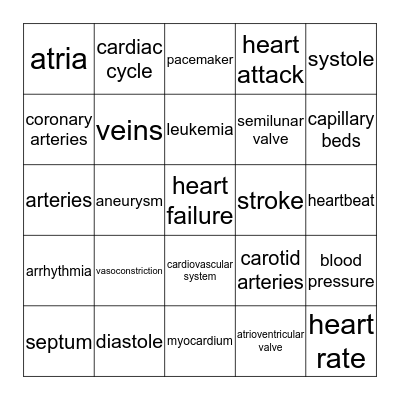 Cardiovascular System Bingo! Bingo Card