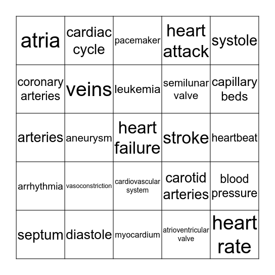 Cardiovascular System Bingo! Bingo Card