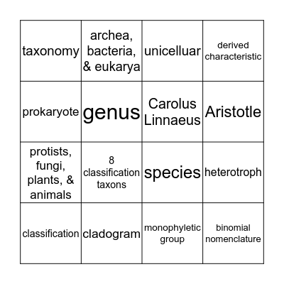 Classification Bingo Card