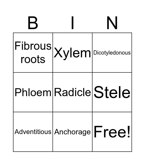 Root anatomy Bingo Card