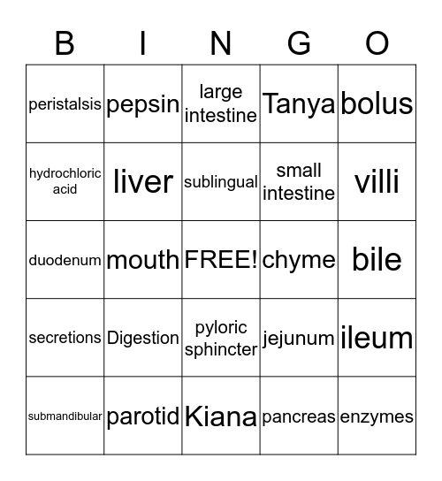 Digestion Bingo Card