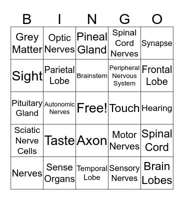 Nervous System Bingo Card