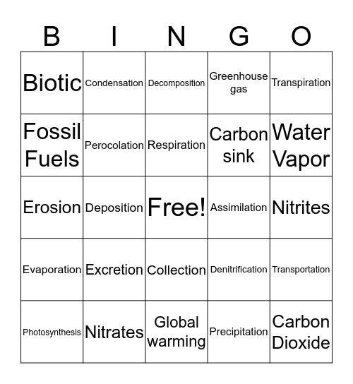 Biogeochemical Cycles Bingo Card