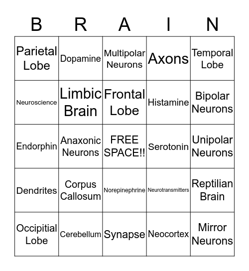 Neuroscience Bingo Card