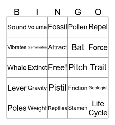 Science Vocabulary Review Bingo Card