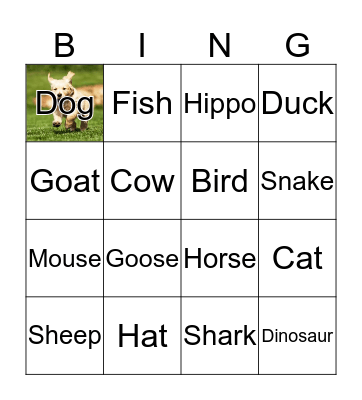 Animals Bingo Card