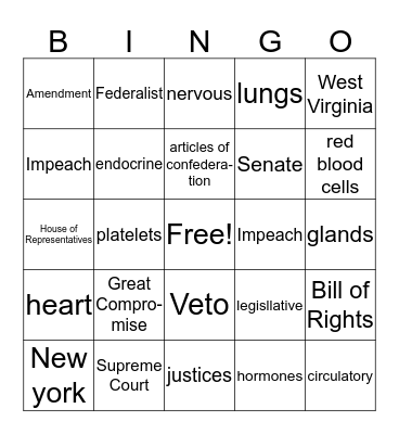 SS and Science Review Bingo Card