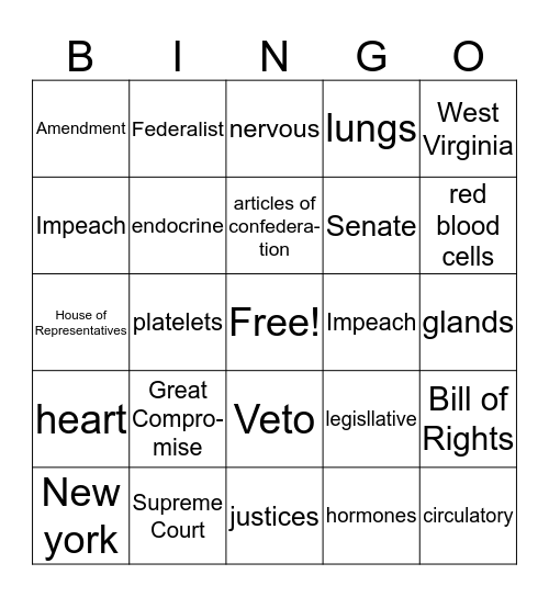 SS and Science Review Bingo Card