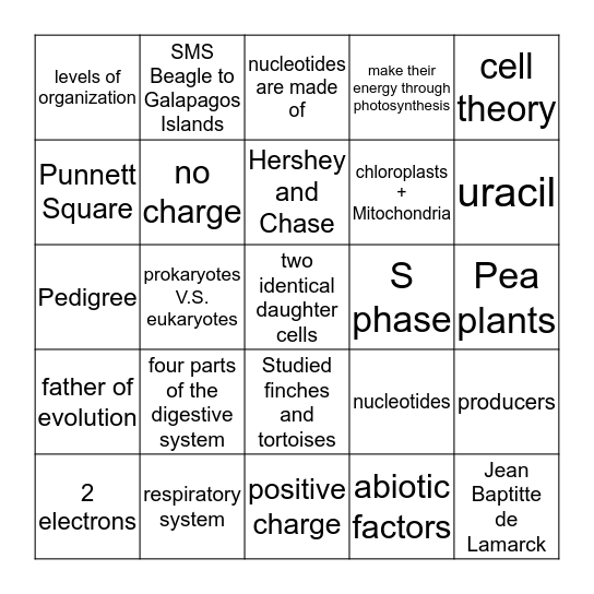 End of Year Bingo Review Bingo Card