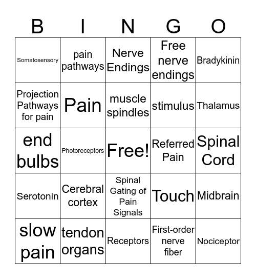 The General Senses 16.2 Bingo Card