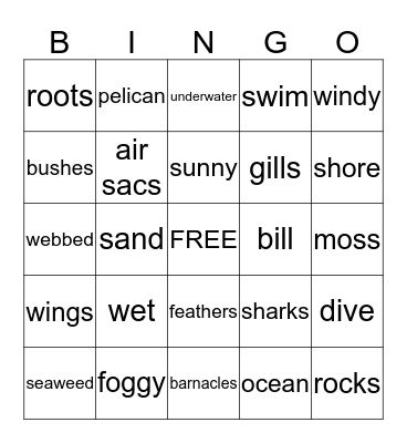 1/2 & 3/4 Bingo Card