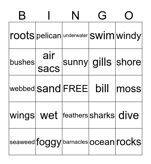 1/2 & 3/4 Bingo Card