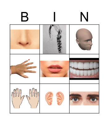 Parts of the body BINGO Card