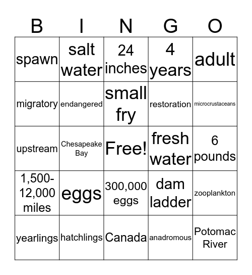 American Shad Bingo Card